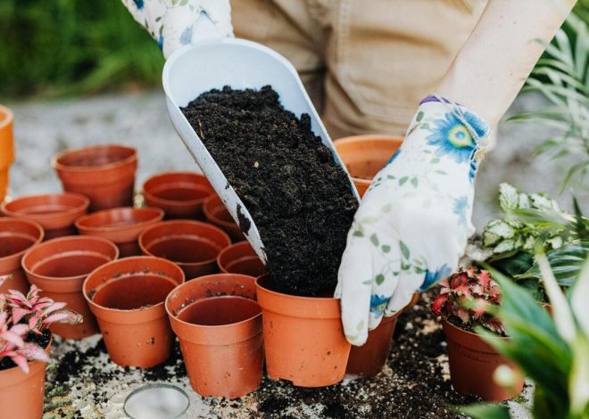 Fertilizer trends: Dynamics between efficiency, technology, and environmental sustainability