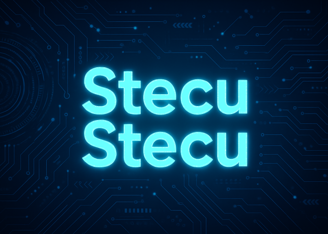 Viral phenomenon of the “Stecu Stecu” trend to efforts to enter KBBI